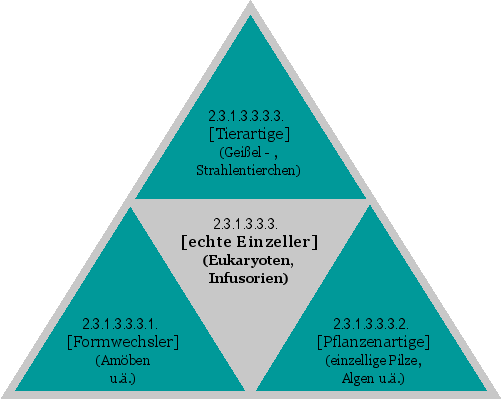 [echte Einzeller] (Eukaryoten, Infusorien)