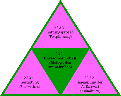 tierisches Leben (Biologie des Animalischen)