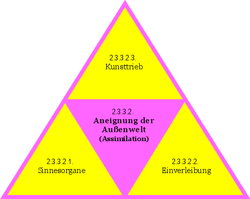Aneignung der Außenwelt (Assimilation)