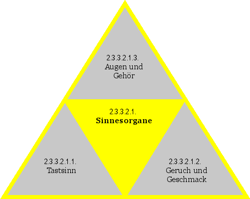 Sinnesorgane