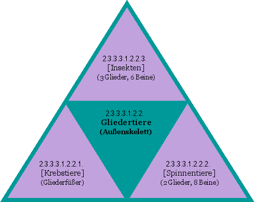Gliedertiere (Außenskelett)