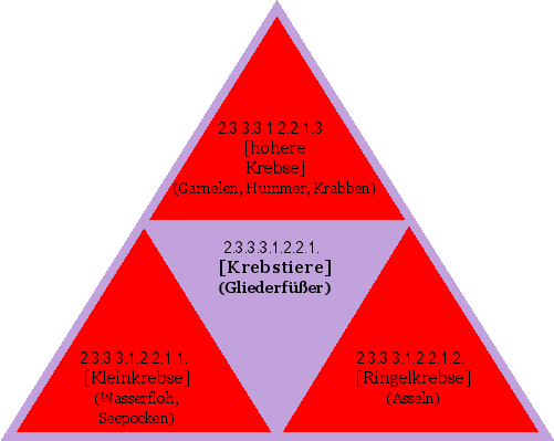 [Krebstiere] (Gliederfüßer)