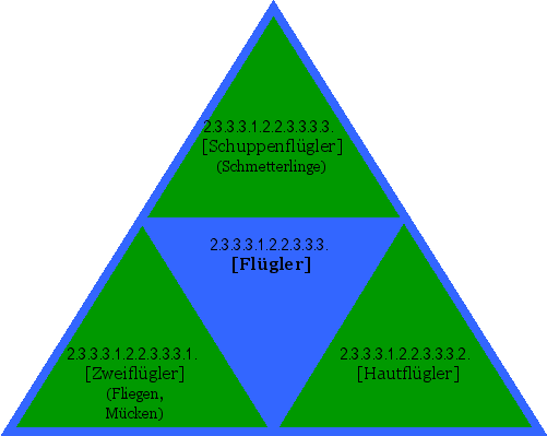 [Flügler]