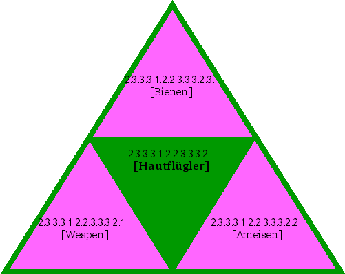 [Hautflügler]