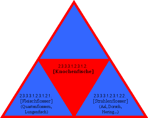 [Knochenfische]