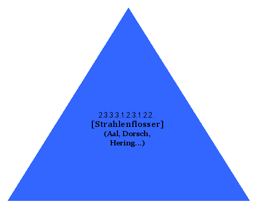 [Strahlenflosser] (Aal, Dorsch, Hering...)