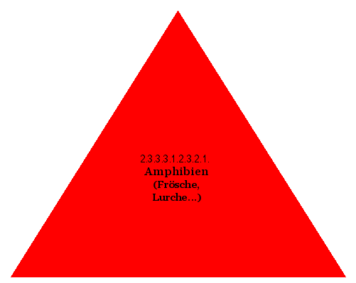Amphibien (Frösche, Lurche...)