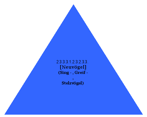 [Neuvögel] (Sing-, Greif-, Stelzvögel)
