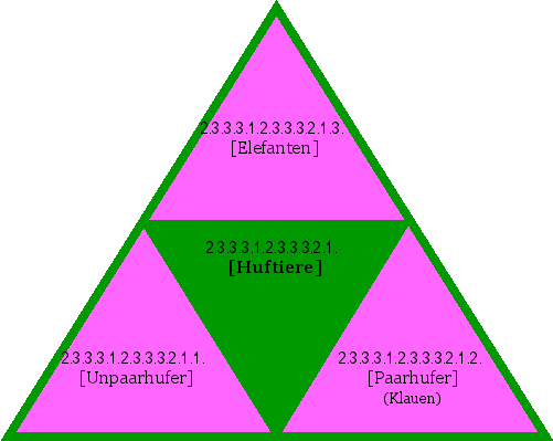 [Huftiere]