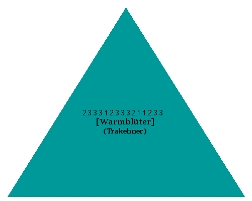 [Warmblüter] (Trakehner)