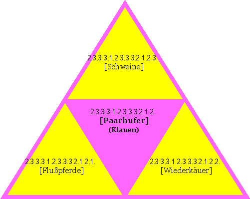 [Paarhufer] (Klauen)
