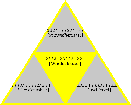 [Wiederkäuer]
