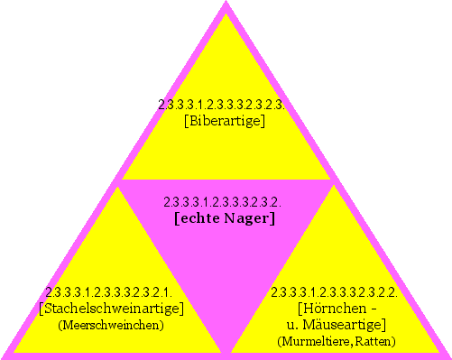 [echte Nager]