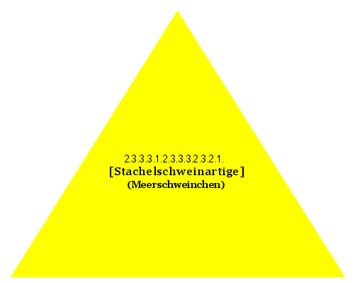 [Stachelschweinartige] (Meerschweinchen)
