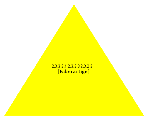 [Biberartige]