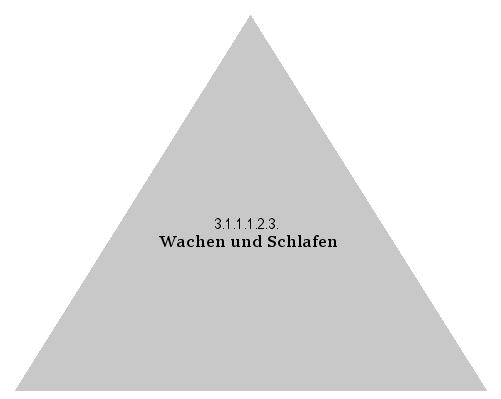 Wachen und Schlafen