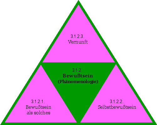 Bewußtsein (Phänomenologie)