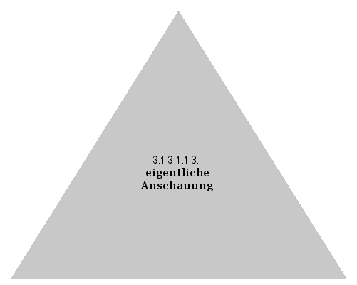 eigentliche Anschauung